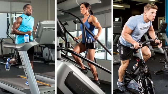 source : bodybuilding.com